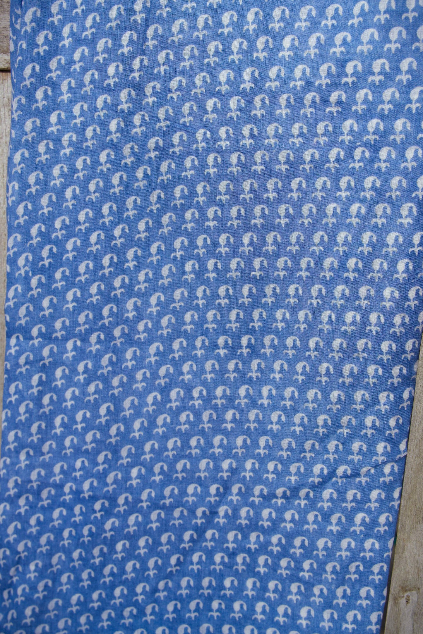 Cowrie - Mini