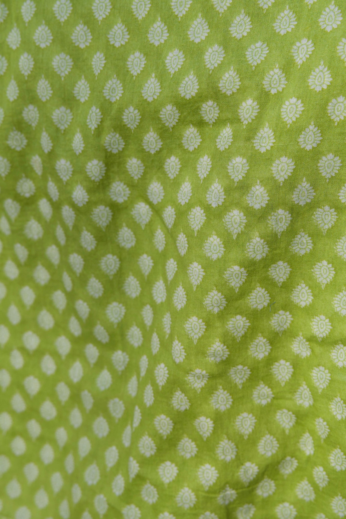 Cowrie - Mini