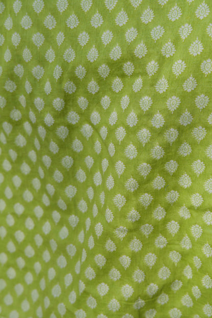 Cowrie - Mini